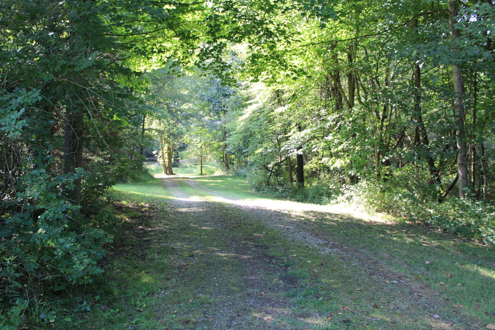 Image for DEAL RD GAMIER, OH - 49 ACRES