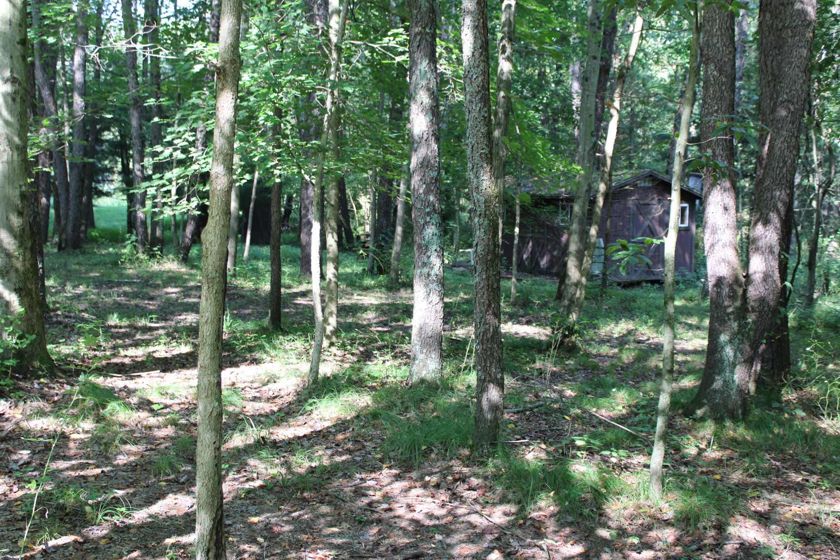 Image for DEAL RD GAMIER, OH - 49 ACRES