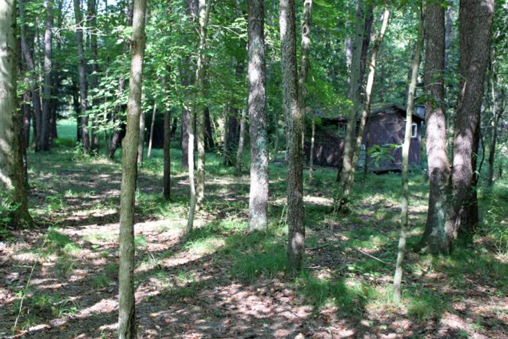 Image for DEAL RD GAMIER, OH - 49 ACRES