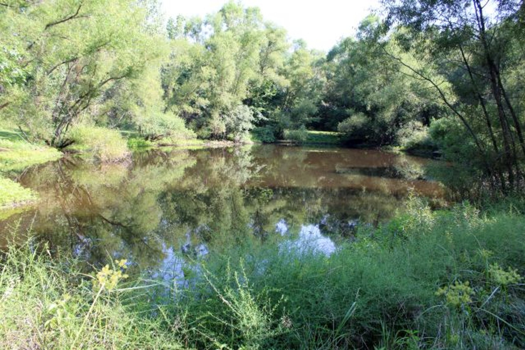 Image for DEAL RD GAMIER, OH - 49 ACRES