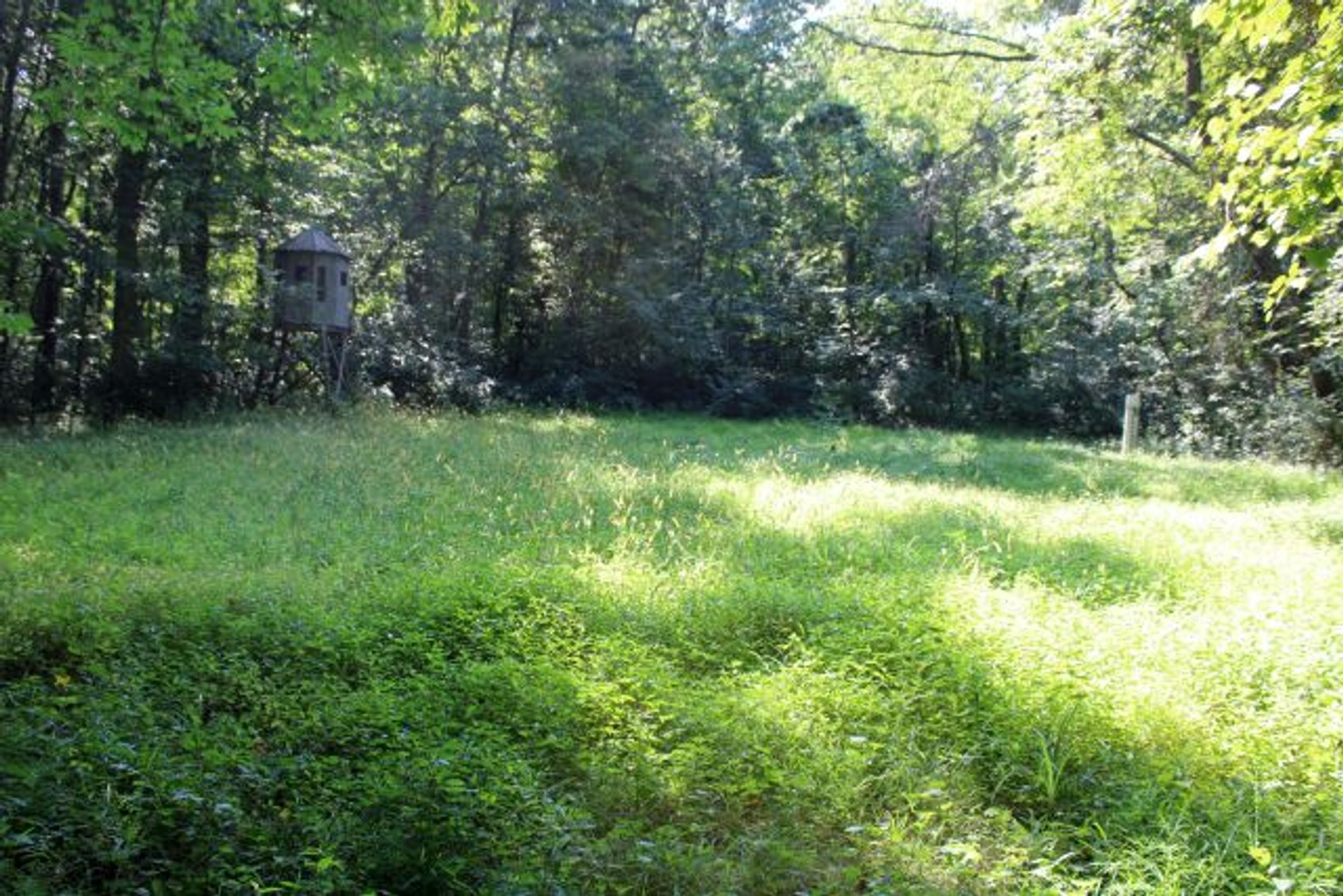 Image for DEAL RD GAMIER, OH - 49 ACRES