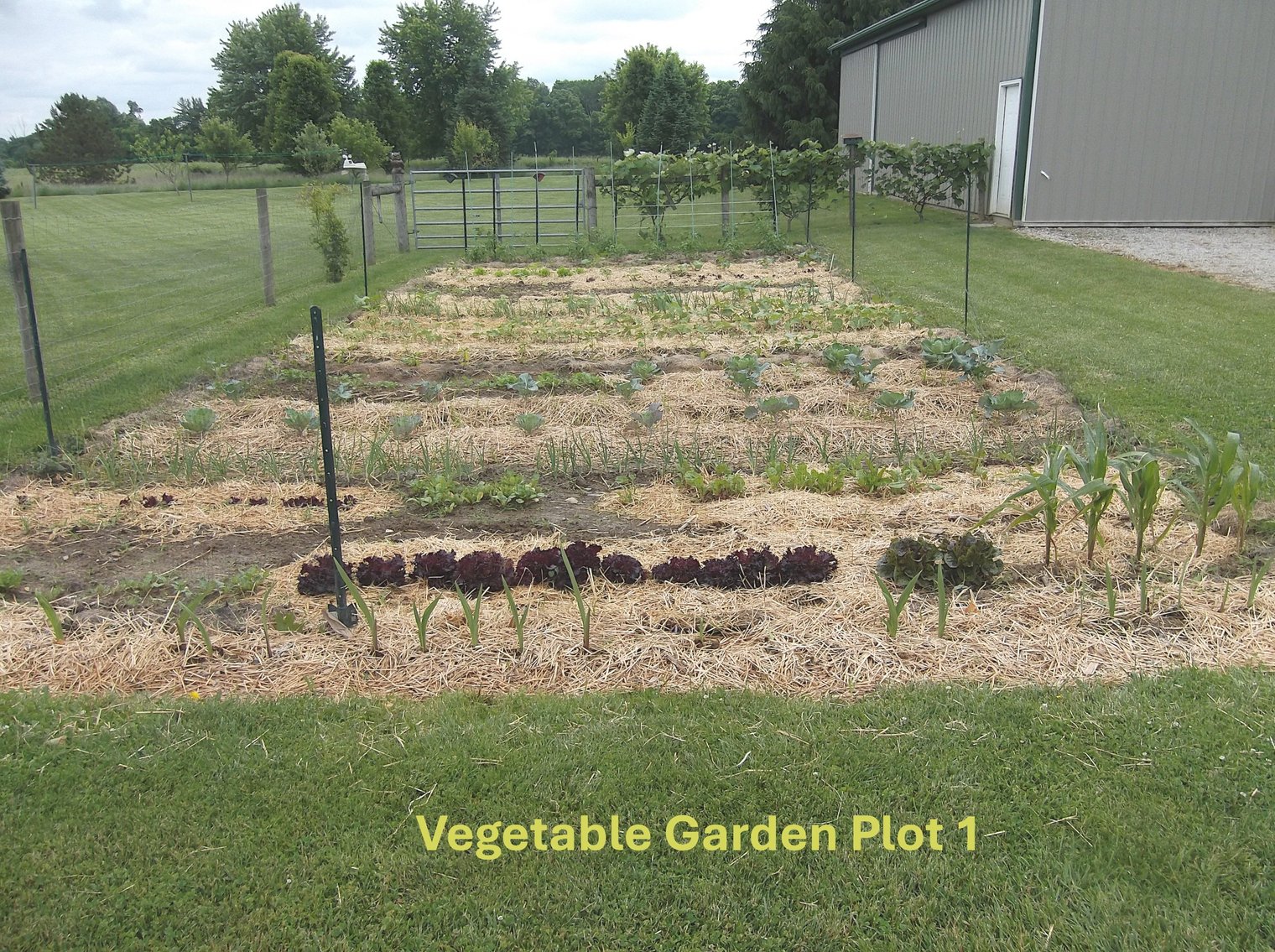 Image for 12058 DUNHAM RD MT VERNON, OH