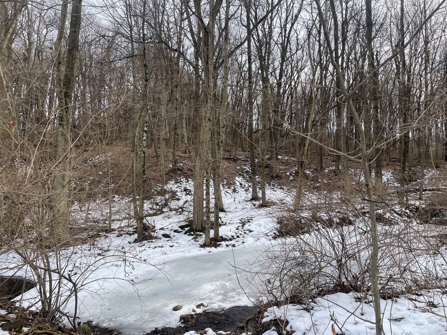 Image for 11890 New Delaware Rd Mt. Vernon, OH.