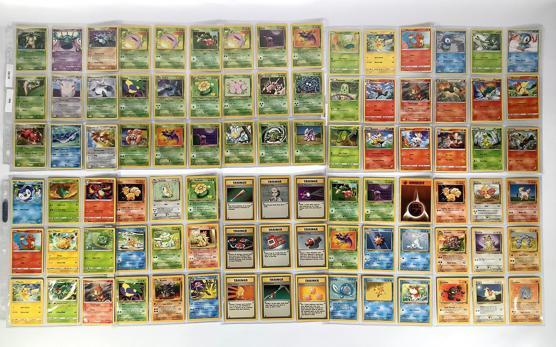 Image for Sports and Trading Cards