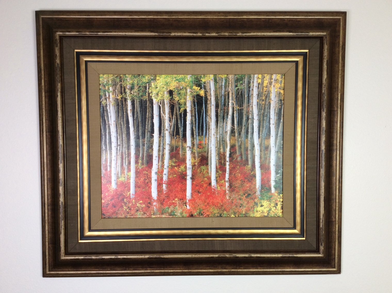 Image for Crestridge Park Area (Aurora) Estate