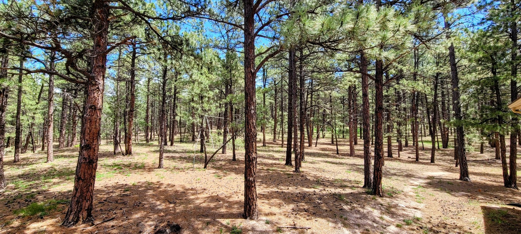 Image for SOLD Arrowwood Real Estate Auction