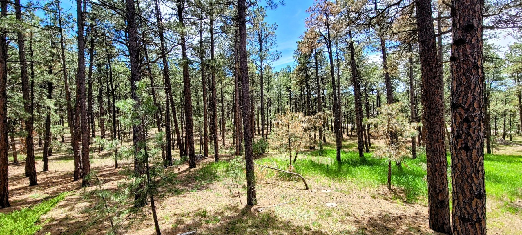 Image for SOLD Arrowwood Real Estate Auction