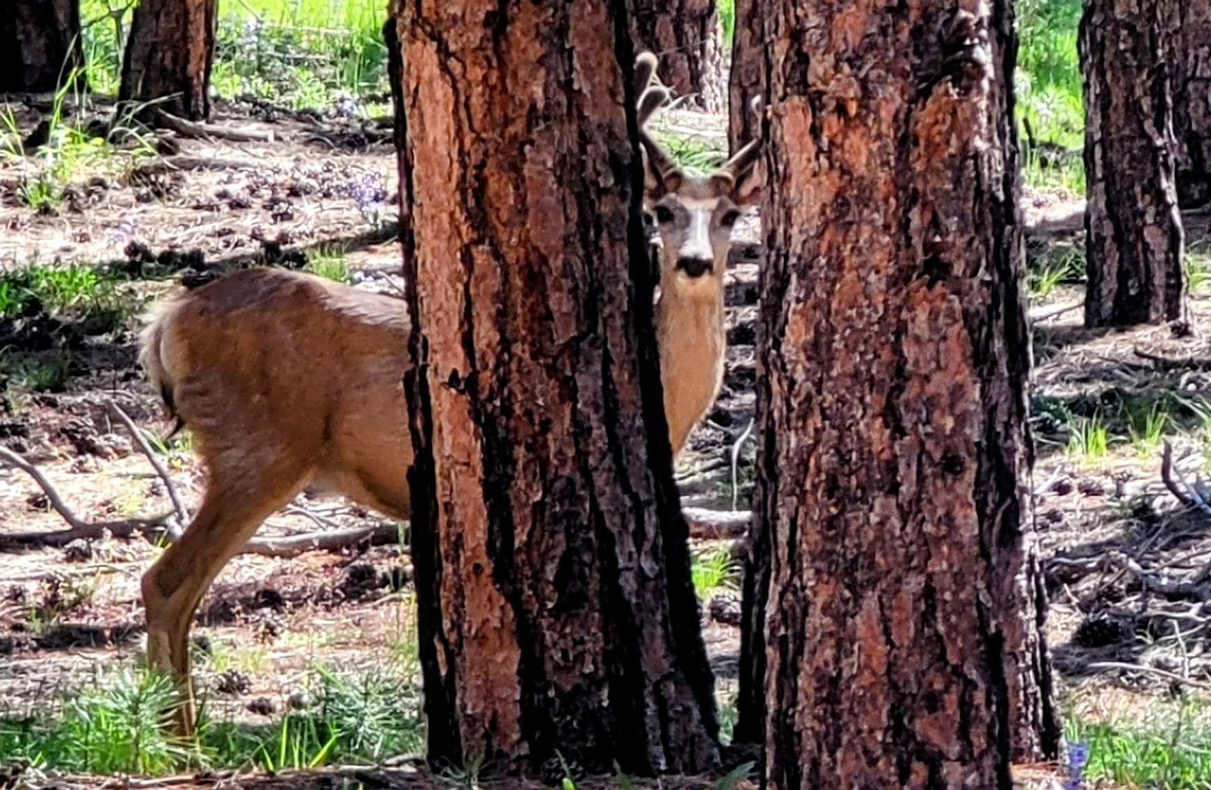 Image for SOLD Arrowwood Real Estate Auction