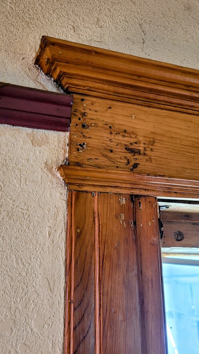 Image for SOLD San Miguel Real Estate Auction