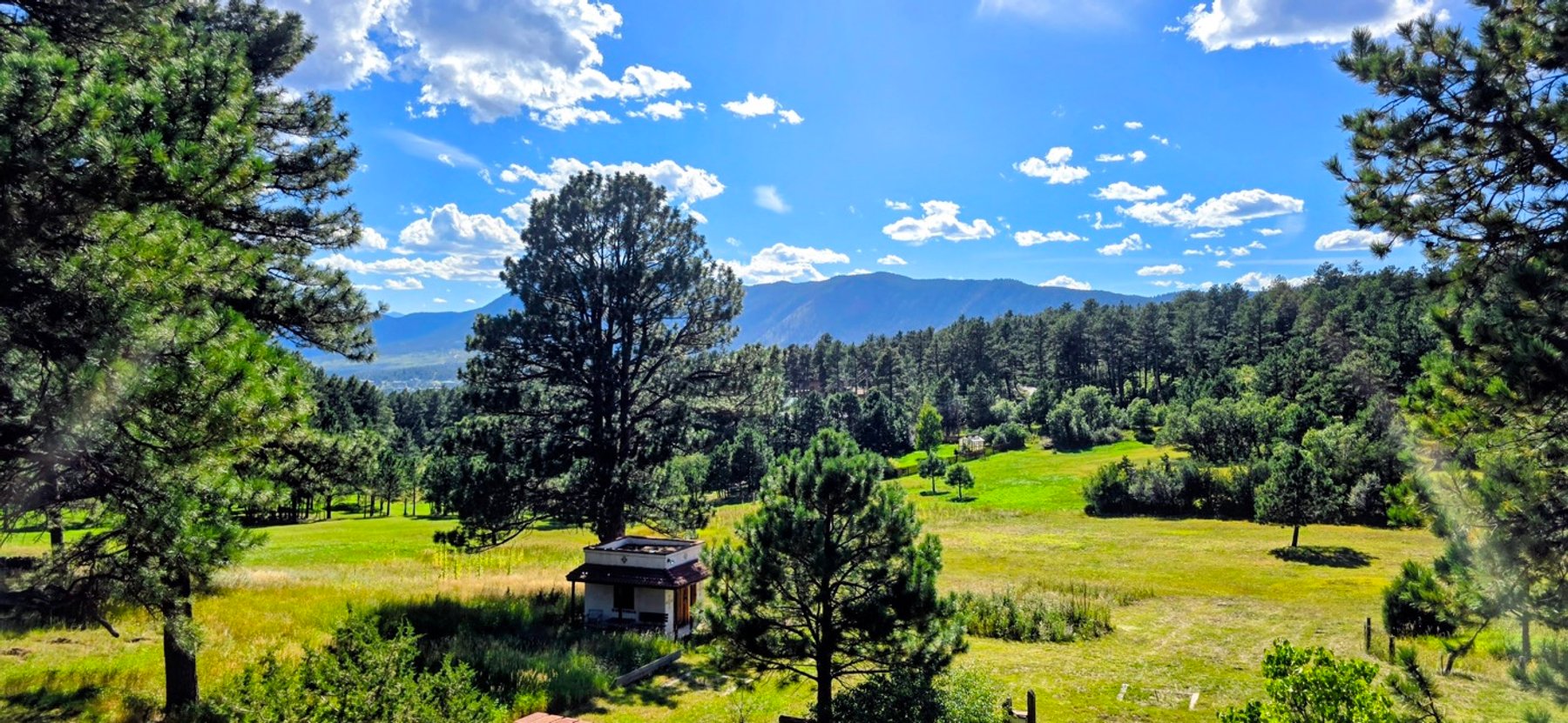 Image for Capella Dr Real Estate Auction