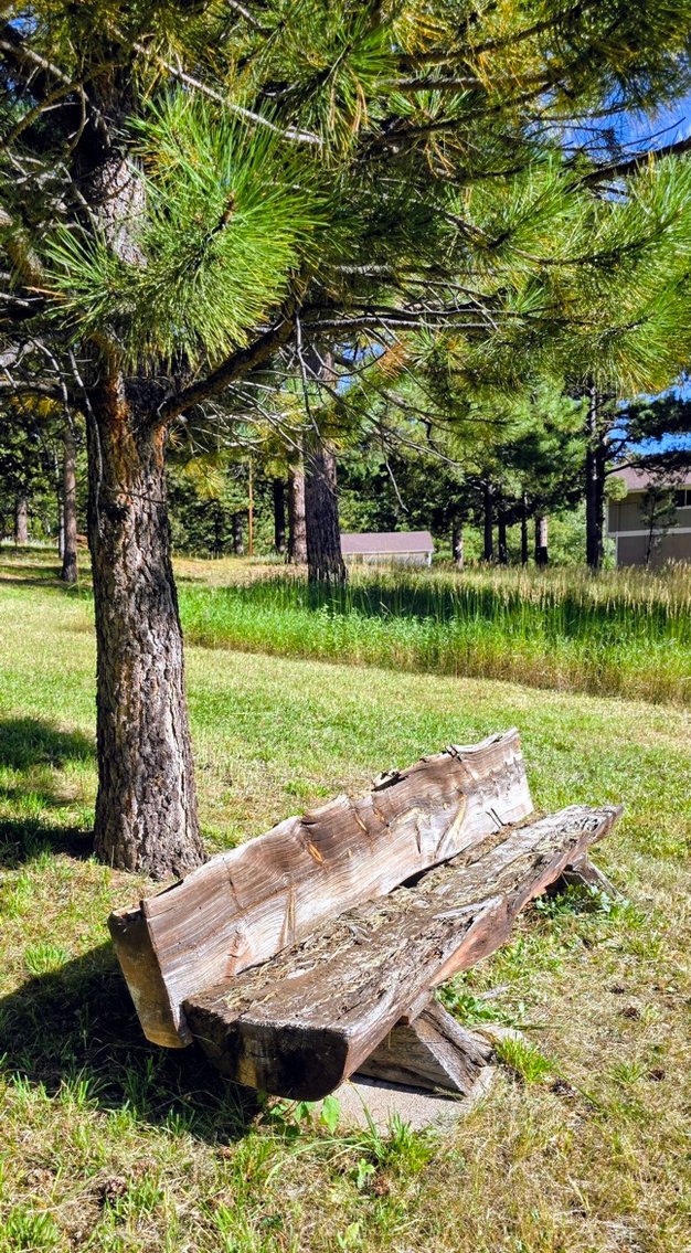 Image for Capella Dr Real Estate Auction