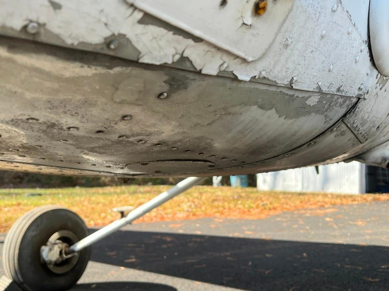 Image for Great time builder aircraft! Cessna 150M