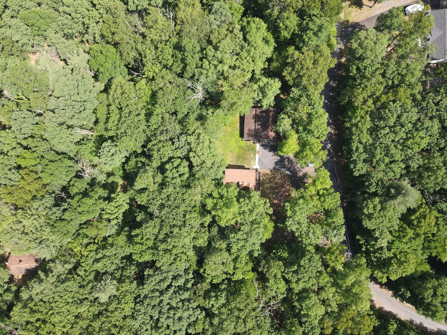 Image for Estate of Thomas Withers Real Estate Auction