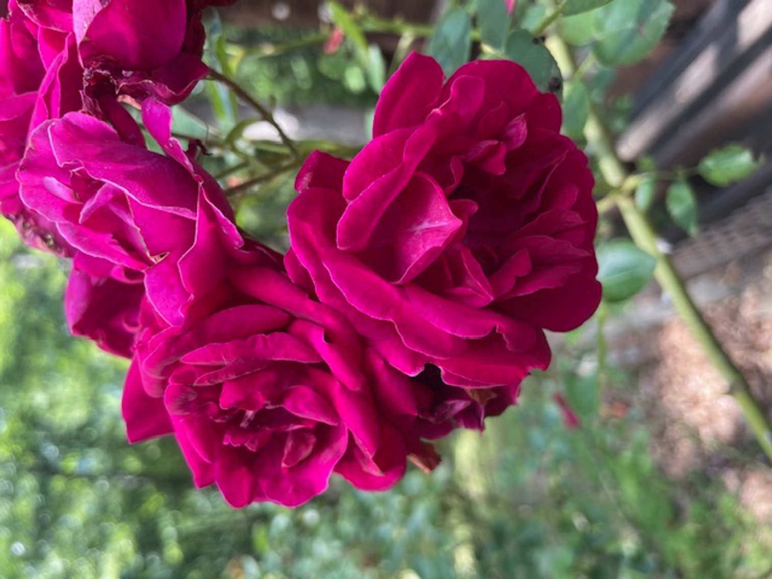 Image for Estate of Thomas Withers Real Estate Auction