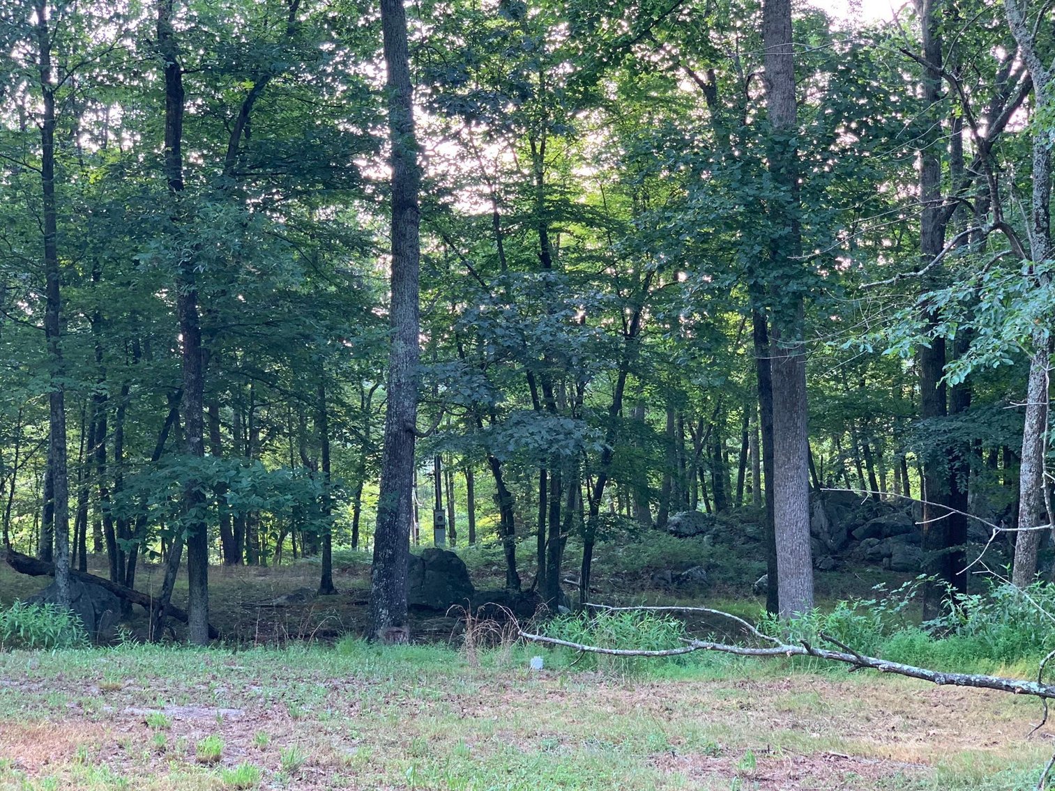 Image for 11.07 Acre Land Auction!  Online Only Reserve Auction!