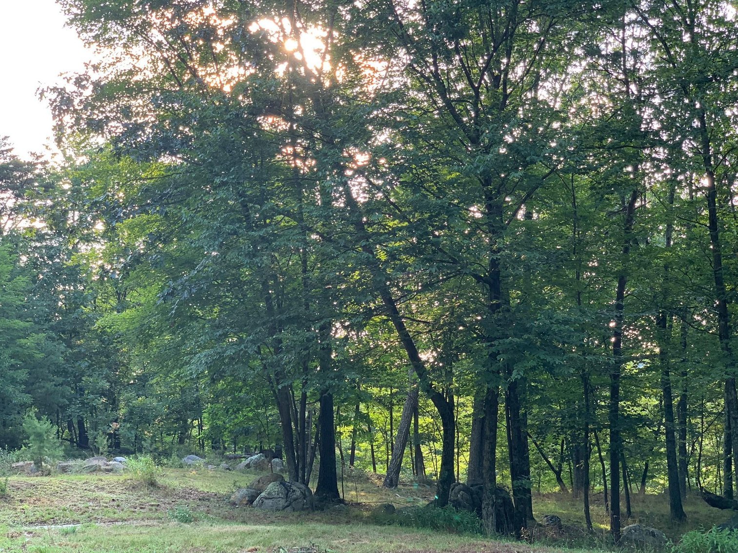 Image for 11.07 Acre Land Auction!  Online Only Reserve Auction!