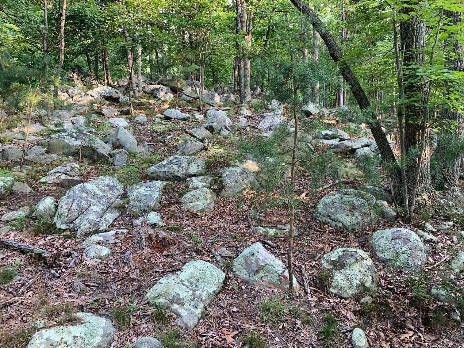 Image for 11.07 Acre Land Auction!  Online Only Reserve Auction!