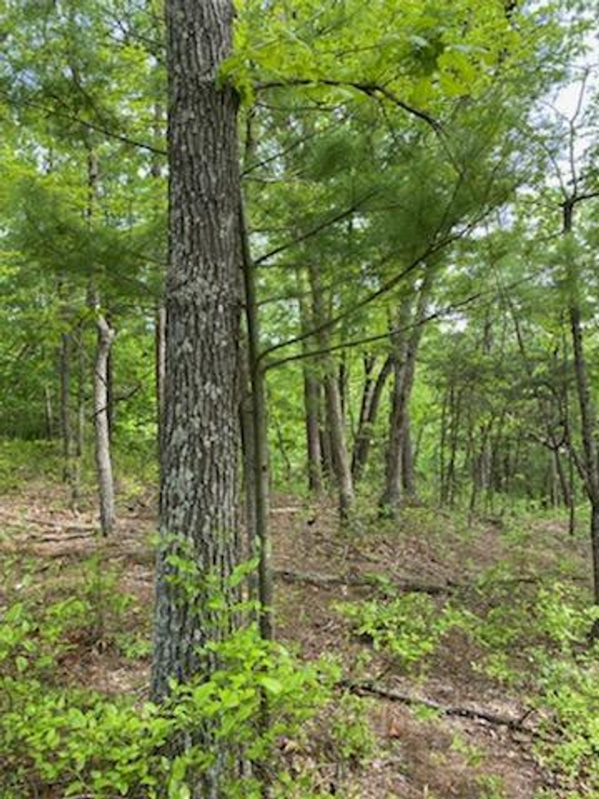 Image for Online Only Reserve Real Estate Land Auction!