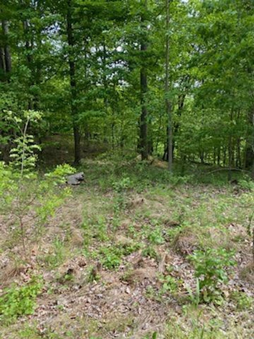 Image for Online Only Reserve Real Estate Land Auction!