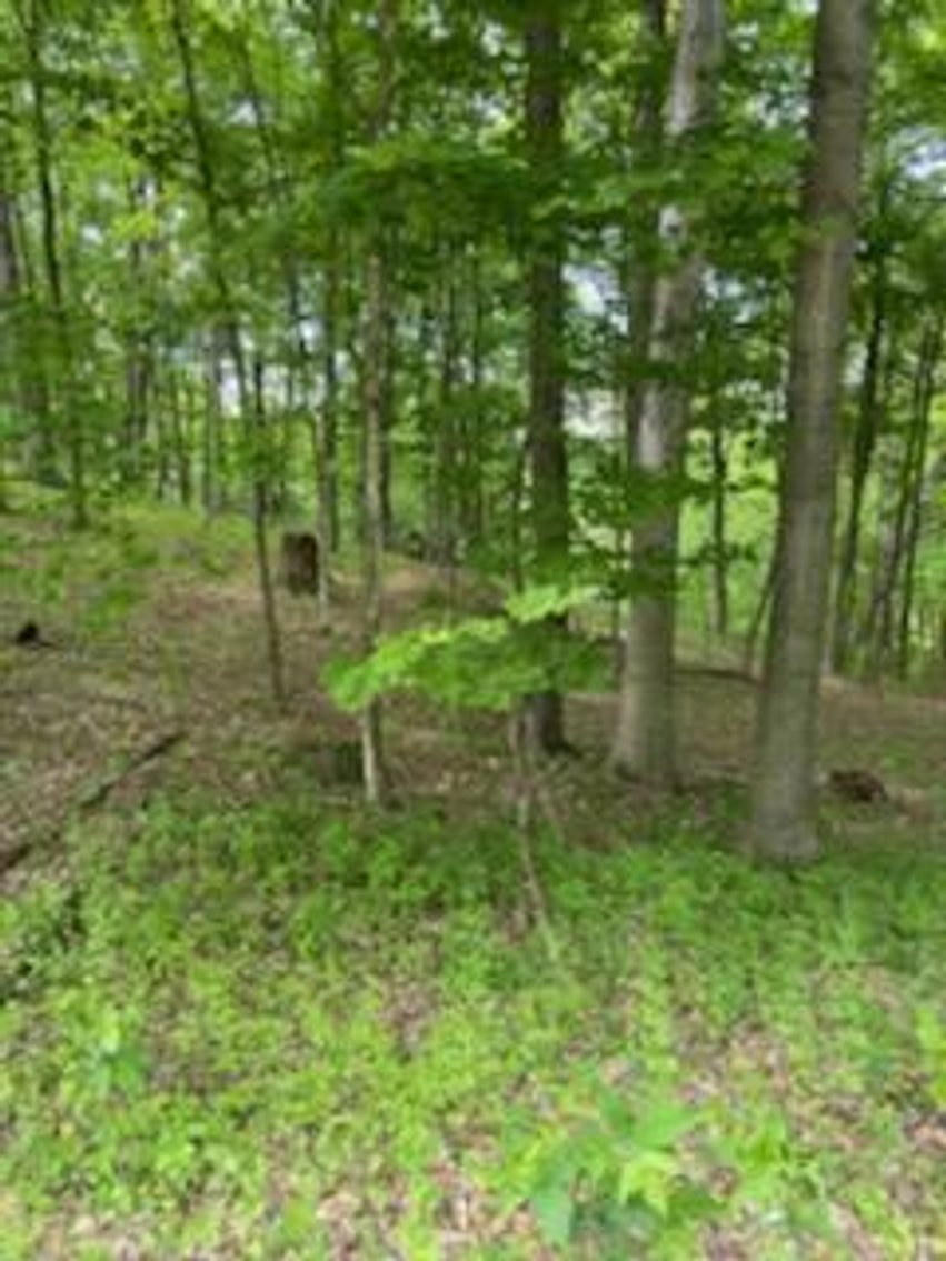 Image for Online Only Reserve Real Estate Land Auction!