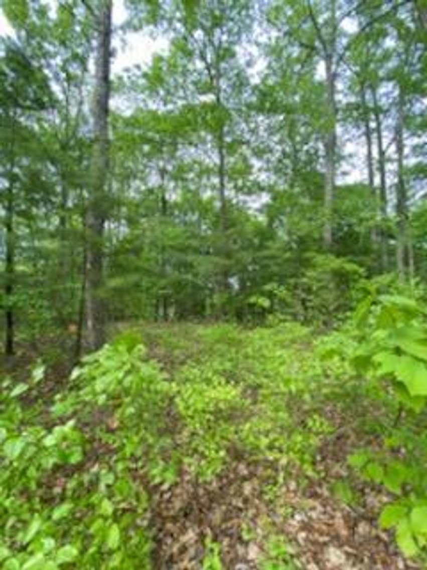 Image for Online Only Reserve Real Estate Land Auction!