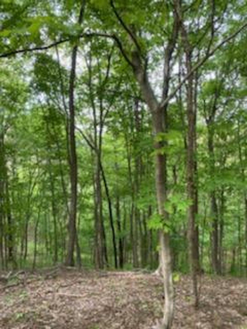 Image for Online Only Reserve Real Estate Land Auction!