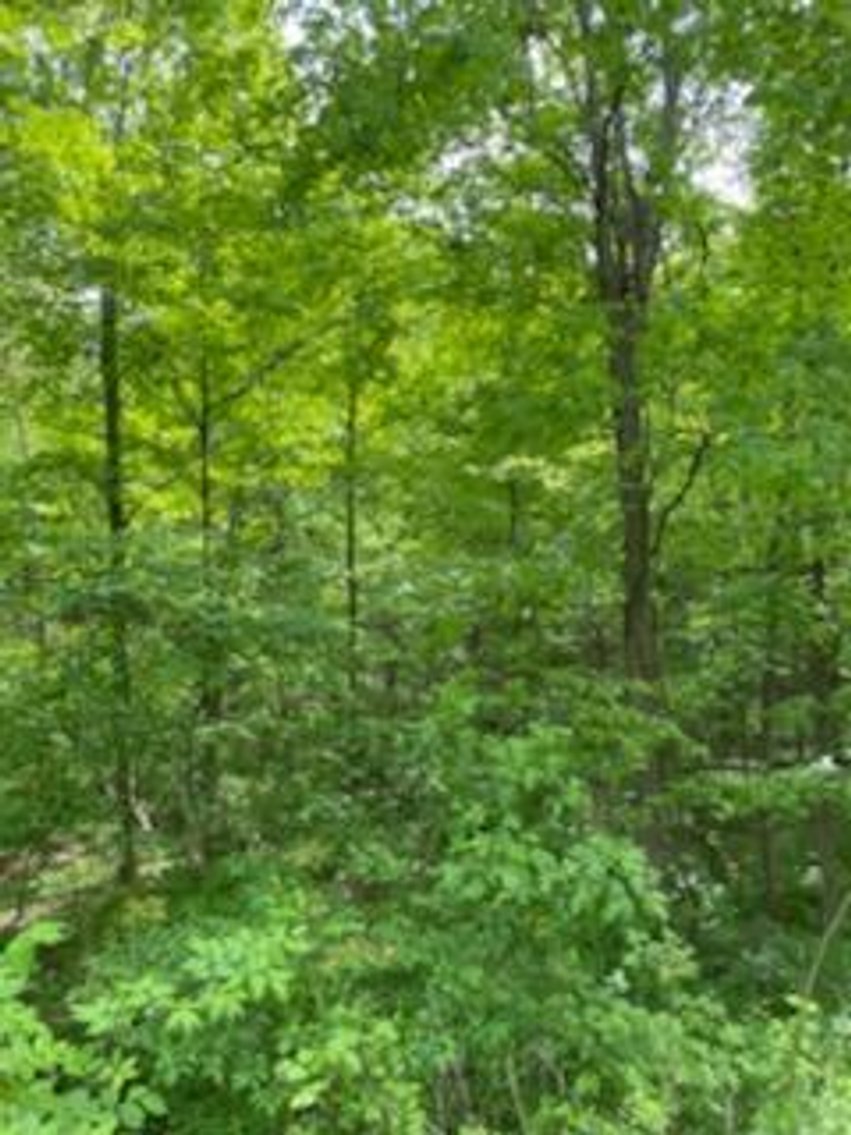 Image for Online Only Reserve Real Estate Land Auction!