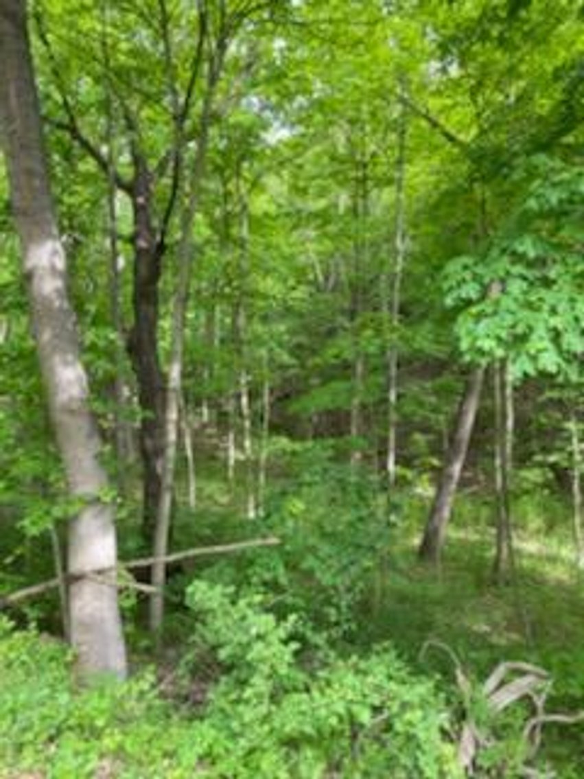 Image for Online Only Reserve Real Estate Land Auction!