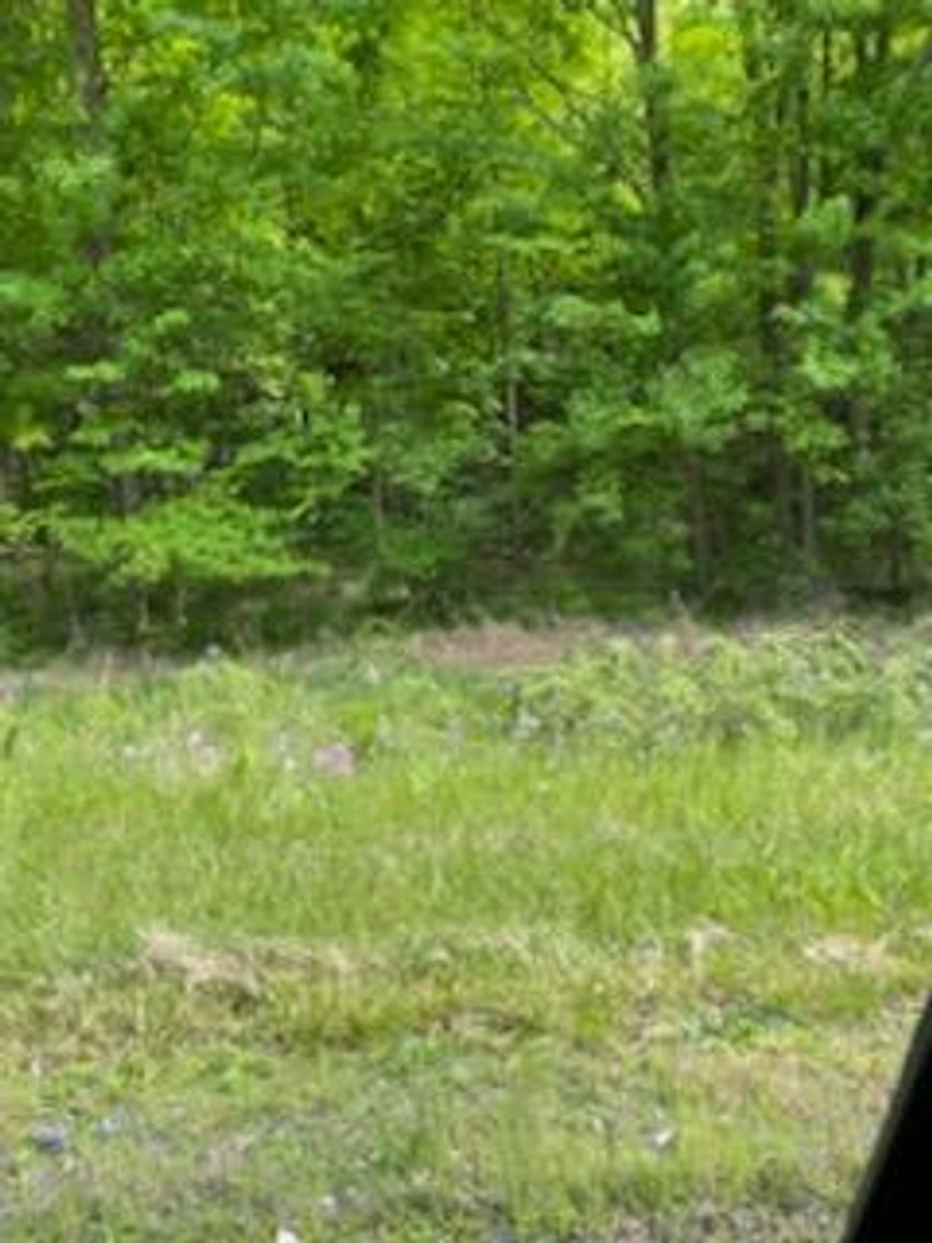 Image for Online Only Reserve Real Estate Land Auction!