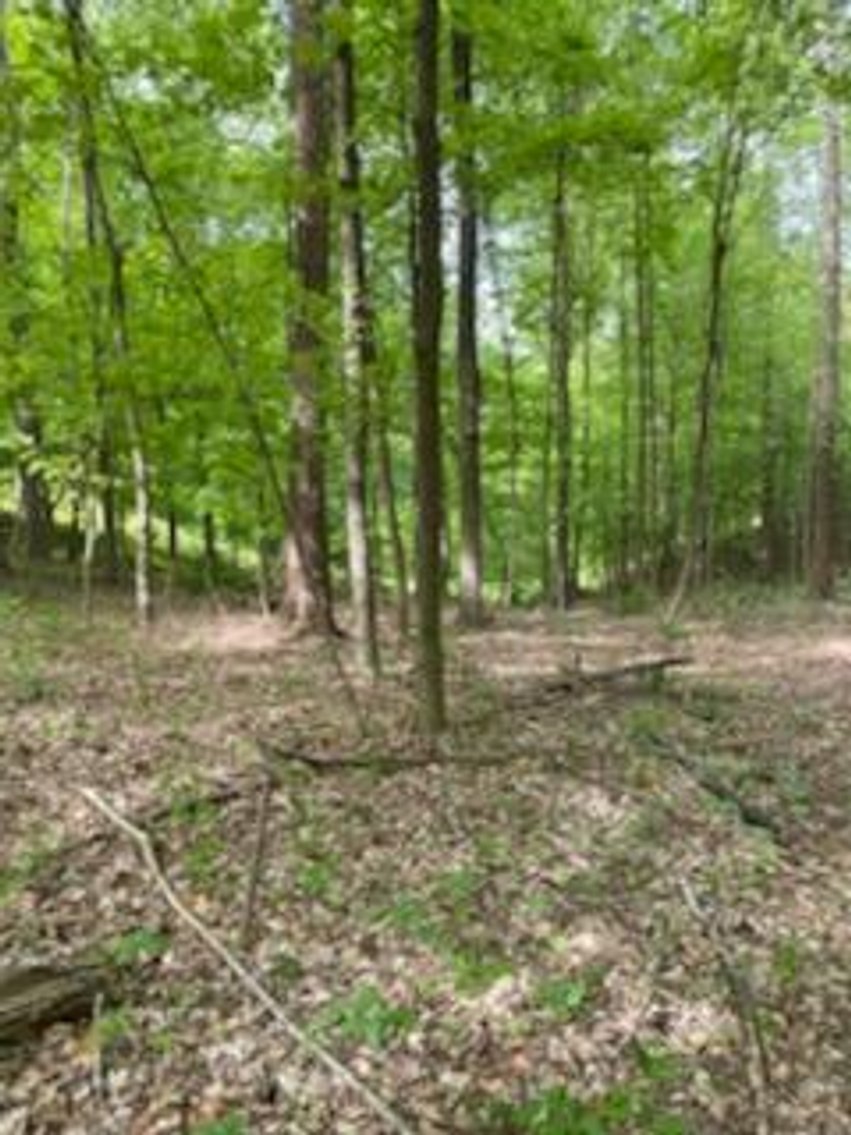 Image for Online Only Reserve Real Estate Land Auction!