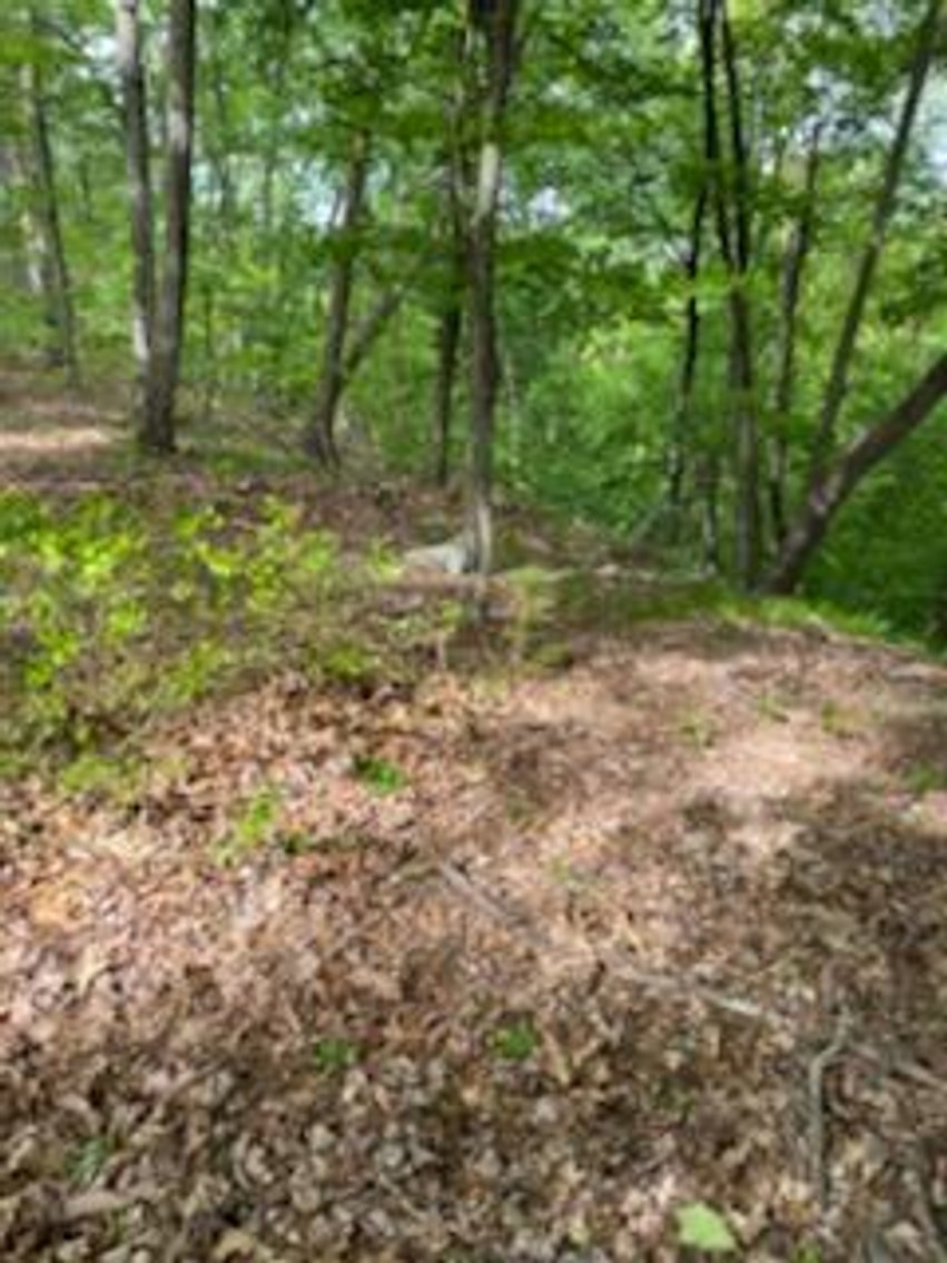 Image for Online Only Reserve Real Estate Land Auction!