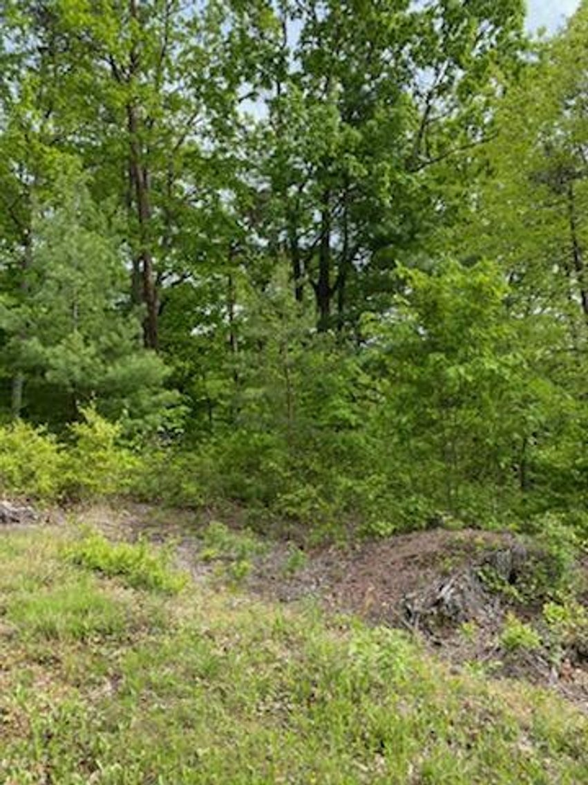 Image for Online Only Reserve Real Estate Land Auction!