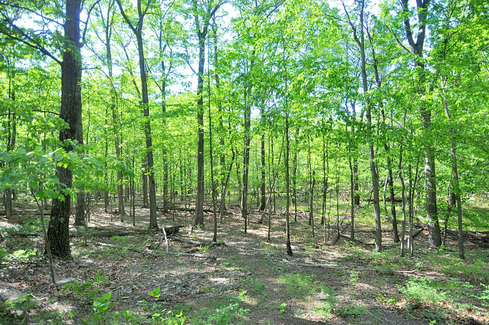 Image for Online Only Reserve Auction!  Land/Camper/Ford Windstar!