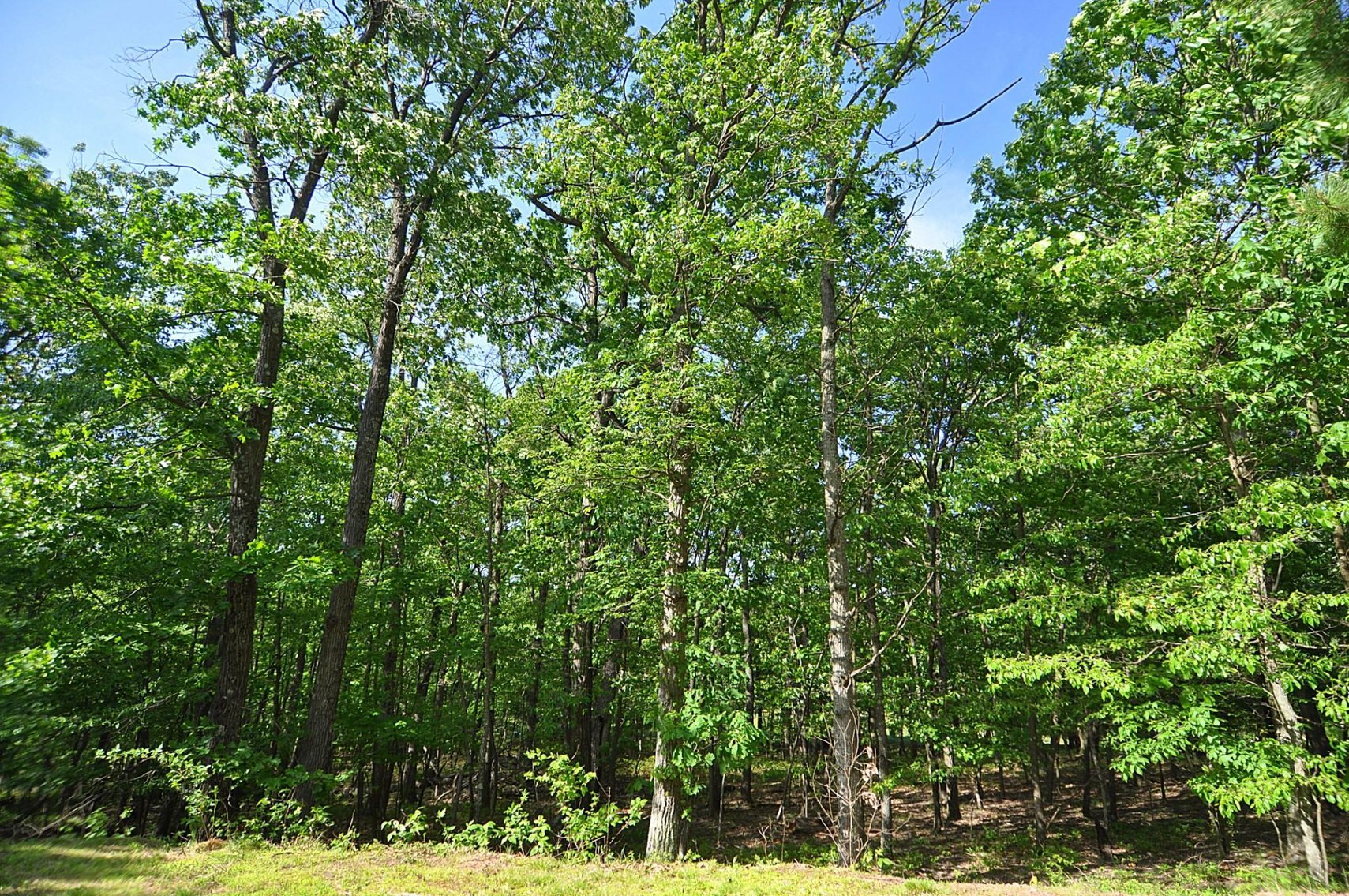 Image for Online Only Reserve Auction!  Land/Camper/Ford Windstar!