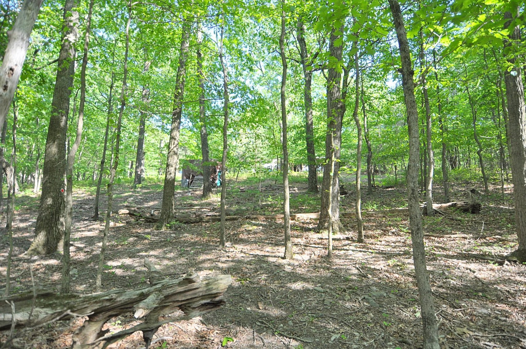 Image for Online Only Reserve Auction!  Land/Camper/Ford Windstar!