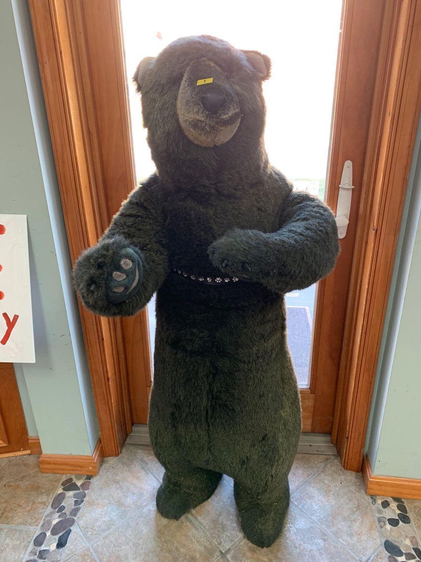 Image for Online Liquidation Auction of Contents & Fixtures for Nature Niche!​​​​​​​