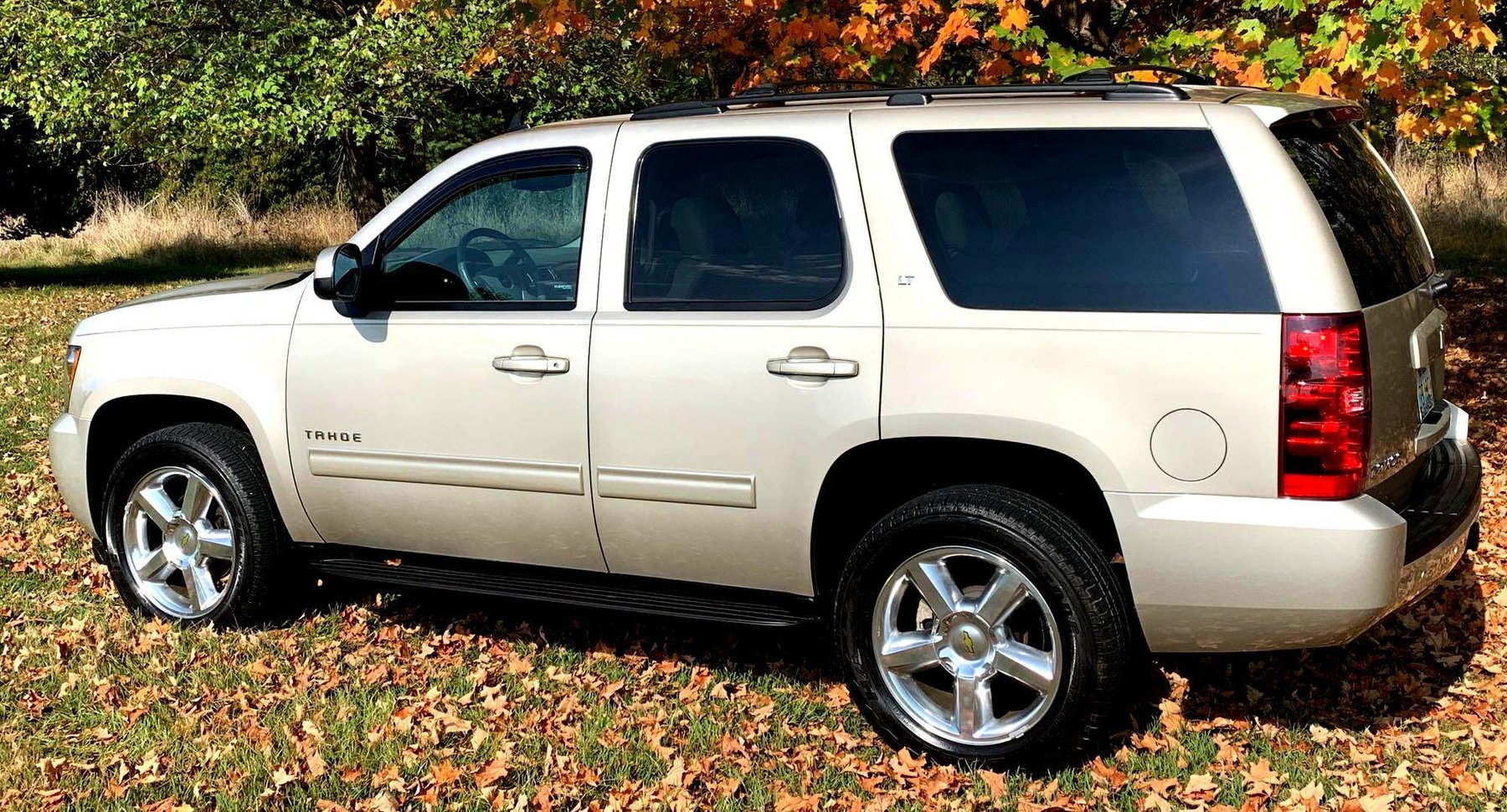 Image for Estate Of Jerry France