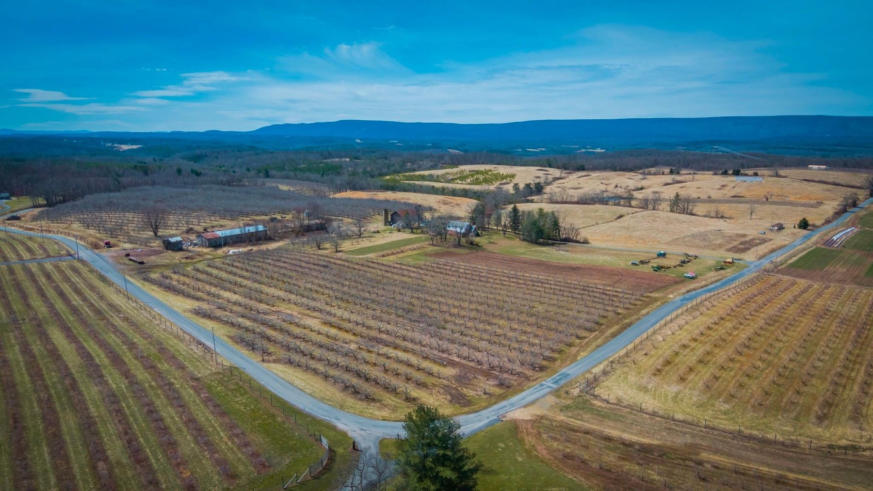 Image for Estate of Betty Glascock