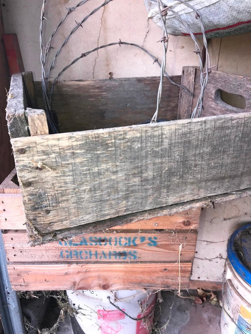 Image for Estate of Betty Glascock