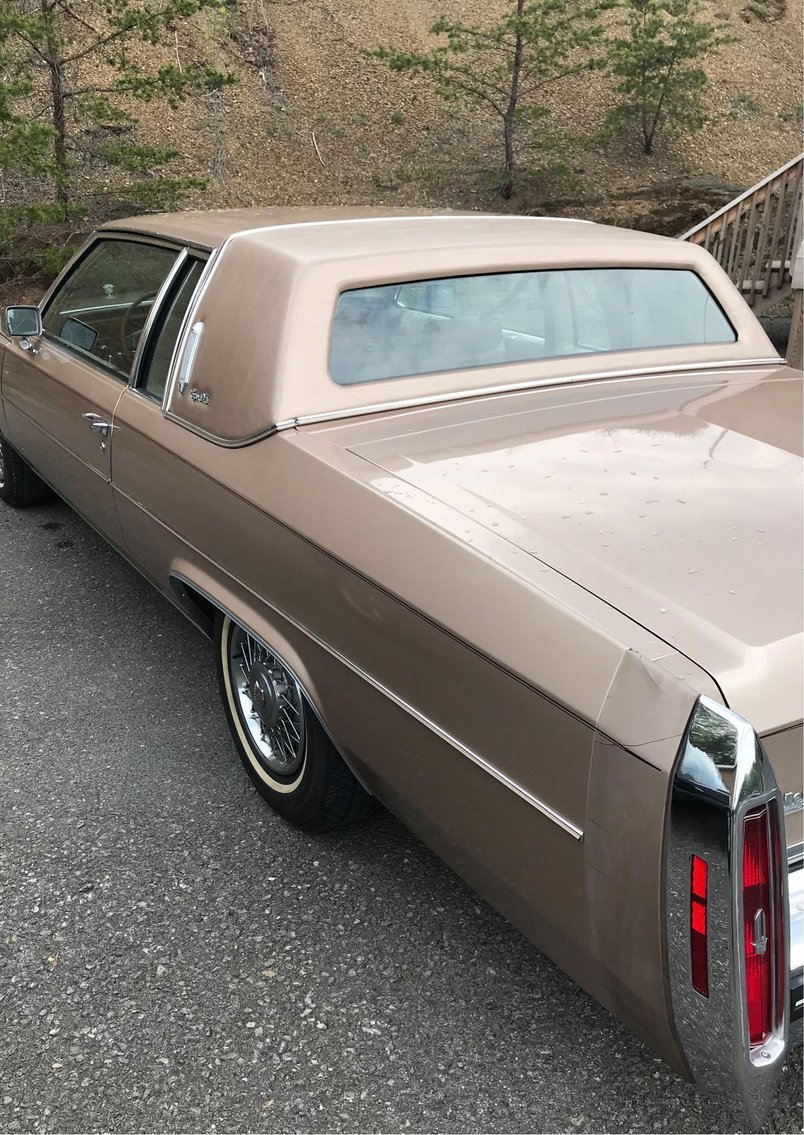 Image for Kendra Dawson Stotler