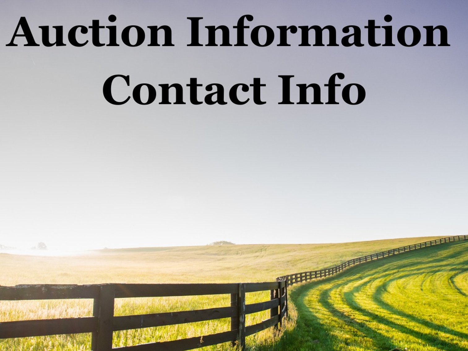 Vehicles, Tools, Yard Equipment and More Auction