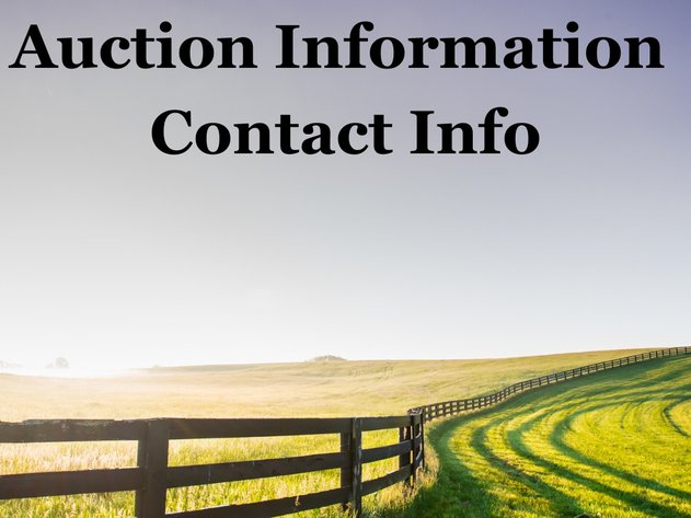 Image for Vehicles, Tools, Yard Equipment and More Auction