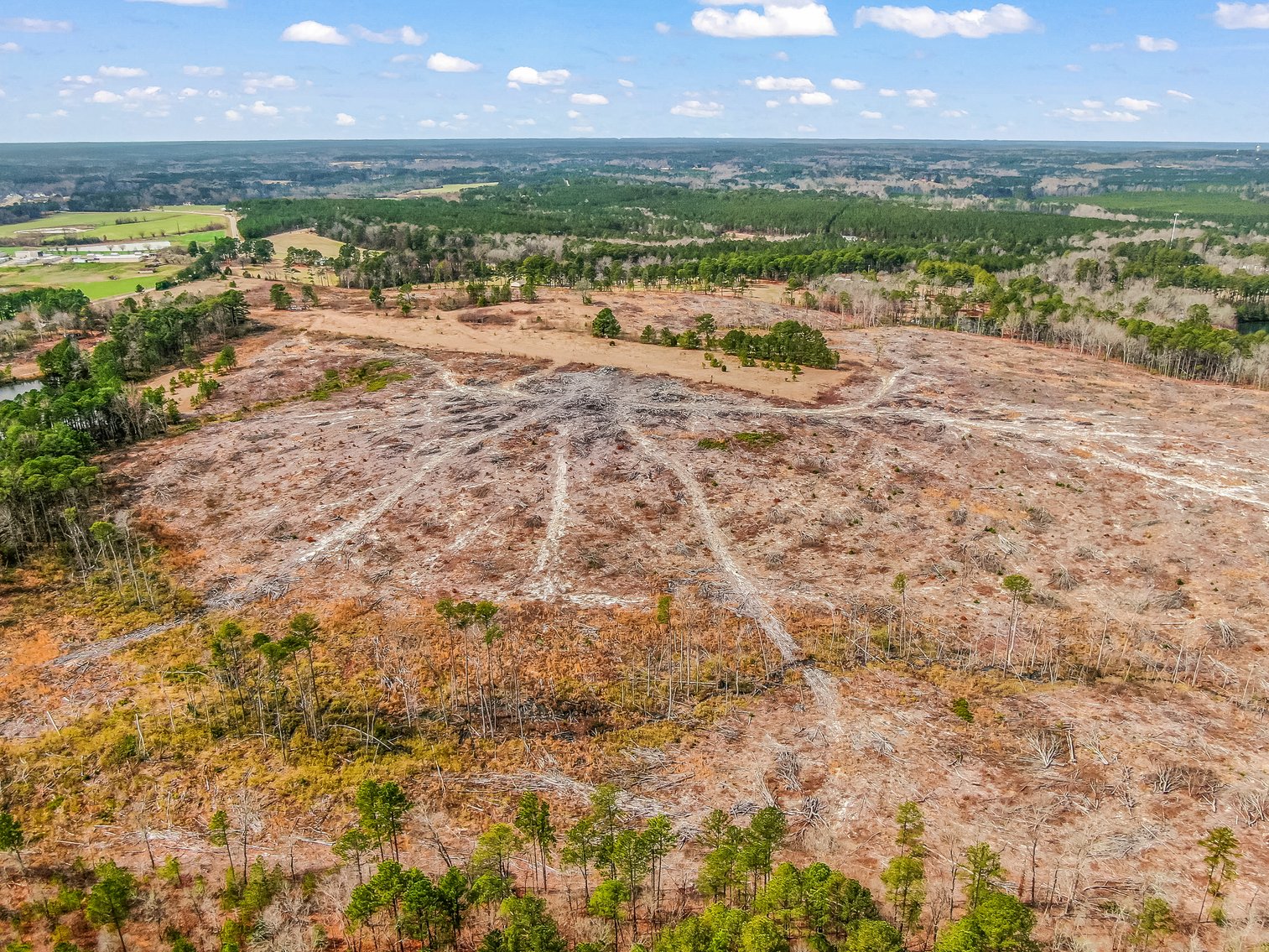 Auction for 119 + - Acres Carthage, NC  Moore County