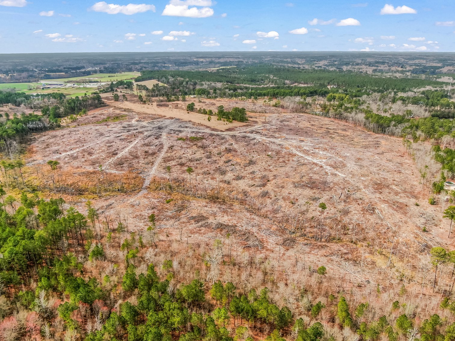 Auction for 119 + - Acres Carthage, NC  Moore County