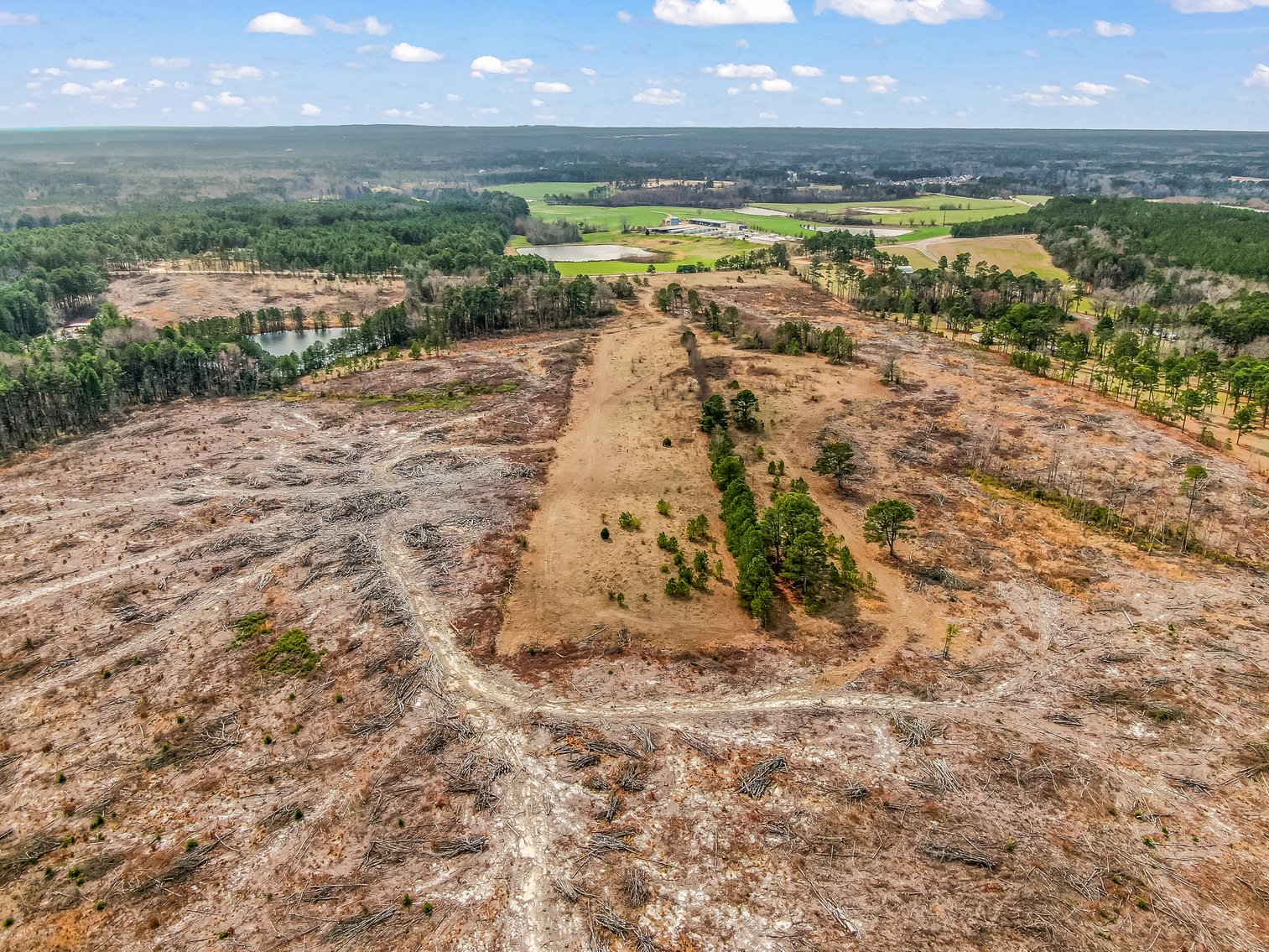 Auction for 119 + - Acres Carthage, NC  Moore County