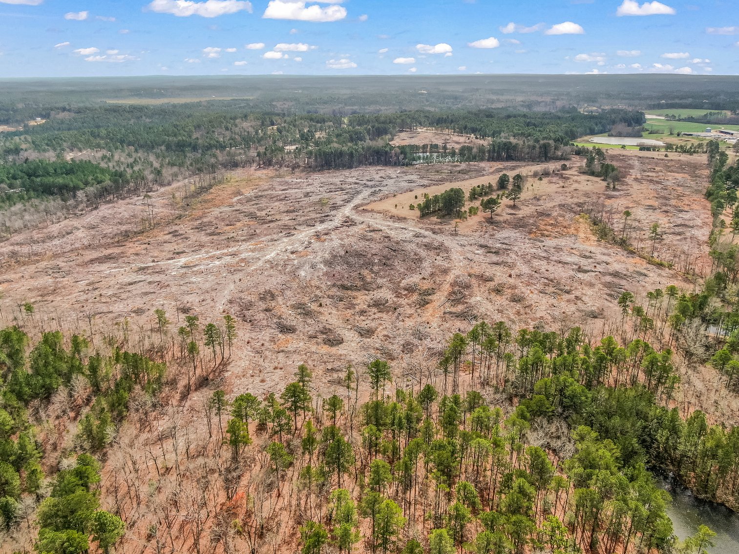 Auction for 119 + - Acres Carthage, NC  Moore County