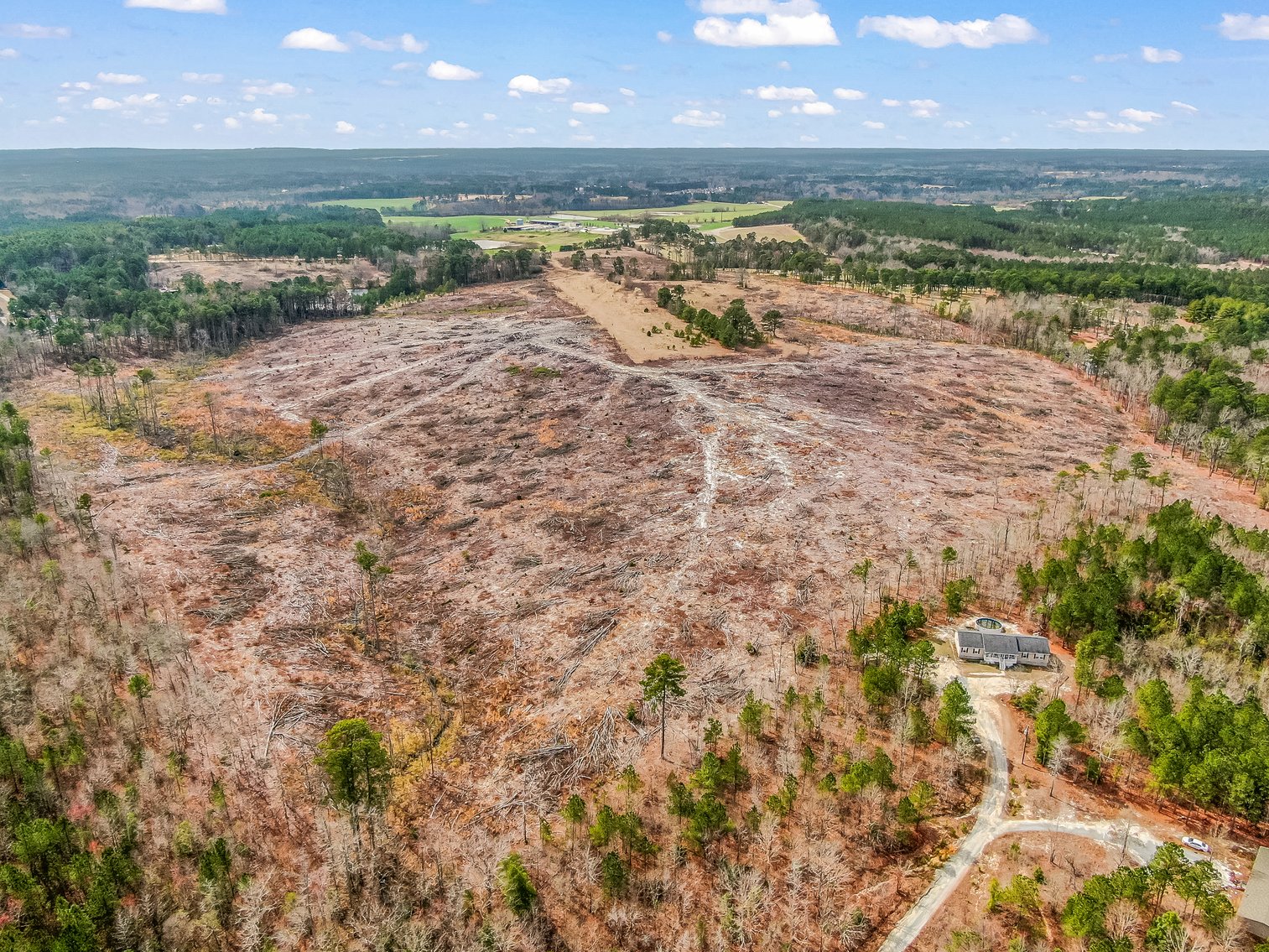 Auction for 119 + - Acres Carthage, NC  Moore County