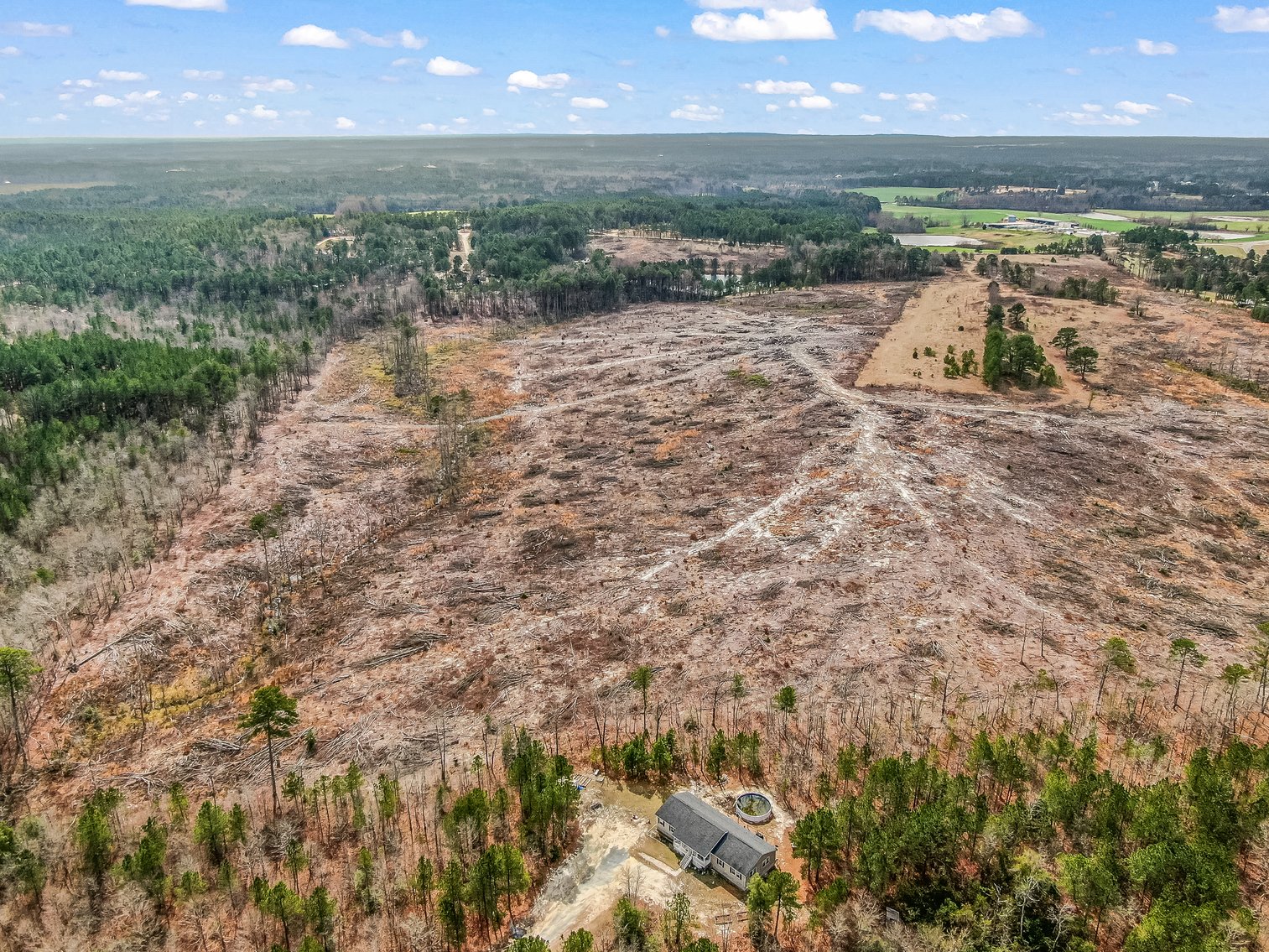 Auction for 119 + - Acres Carthage, NC  Moore County