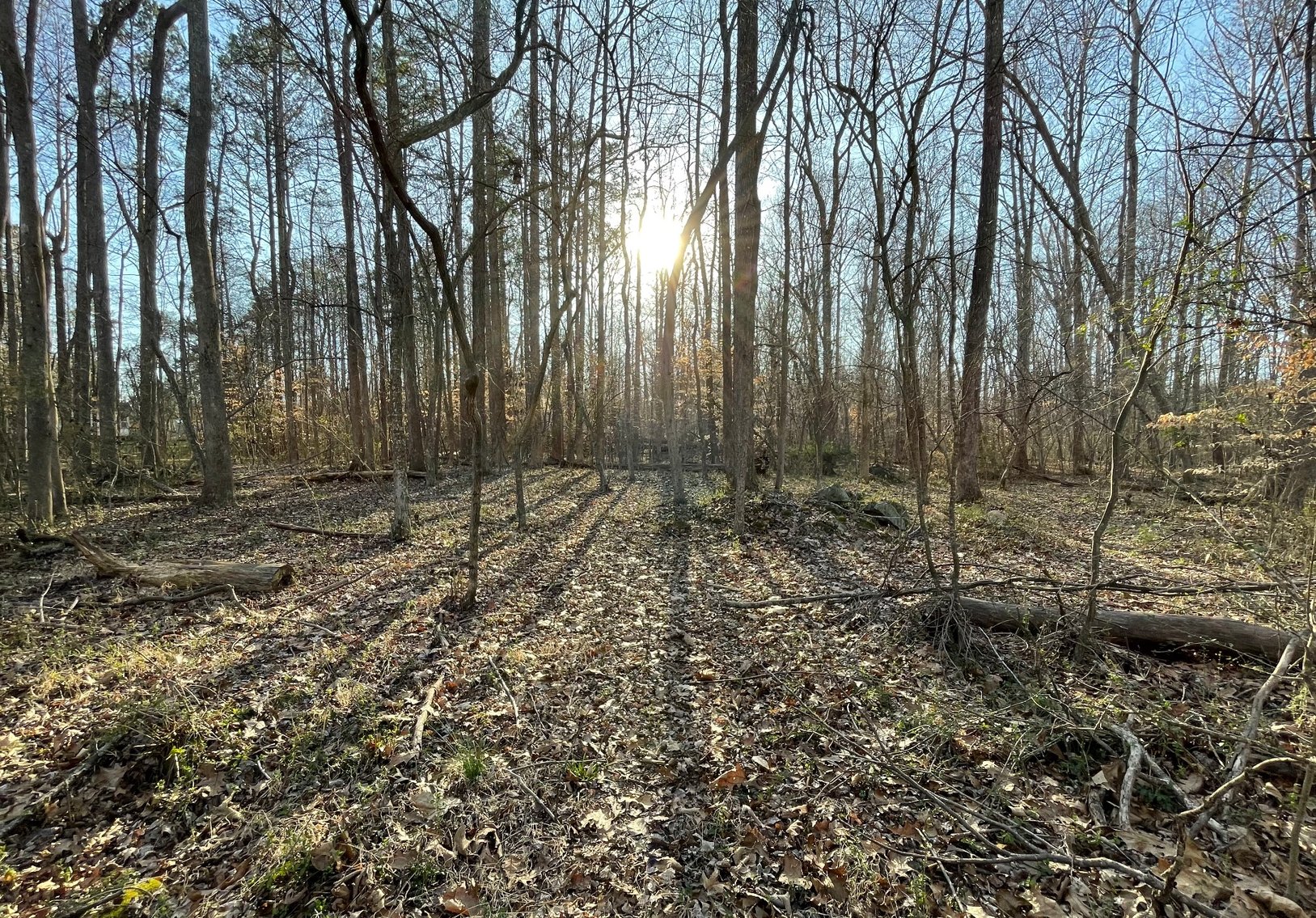 Charming Pleasant Garden Home on Spacious Lot with Large Shop