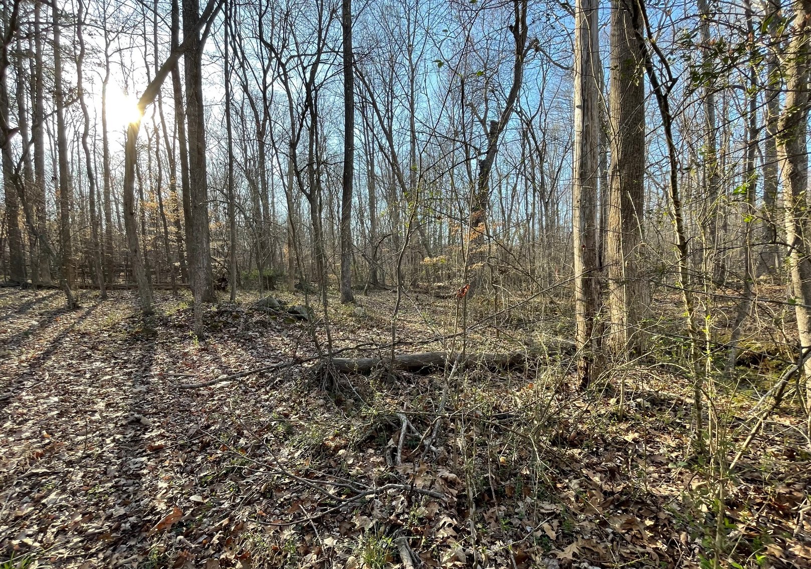 Charming Pleasant Garden Home on Spacious Lot with Large Shop